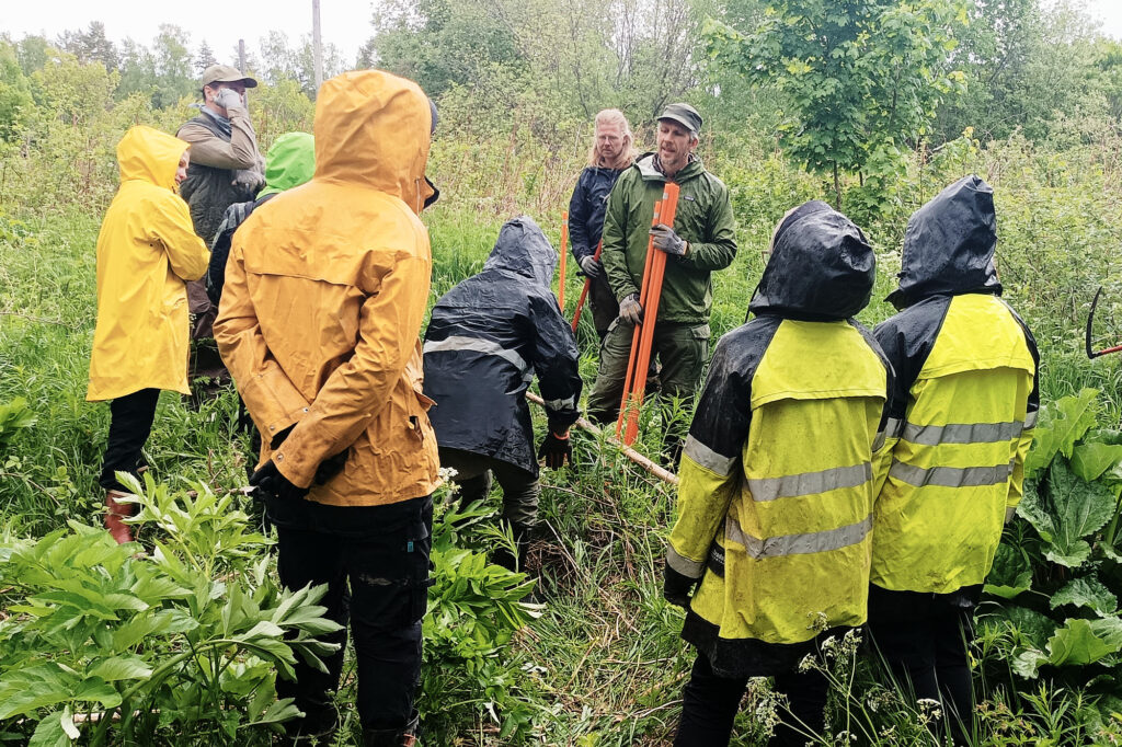 Syötävä metsäpuutarha -kurssi 2.6.2024