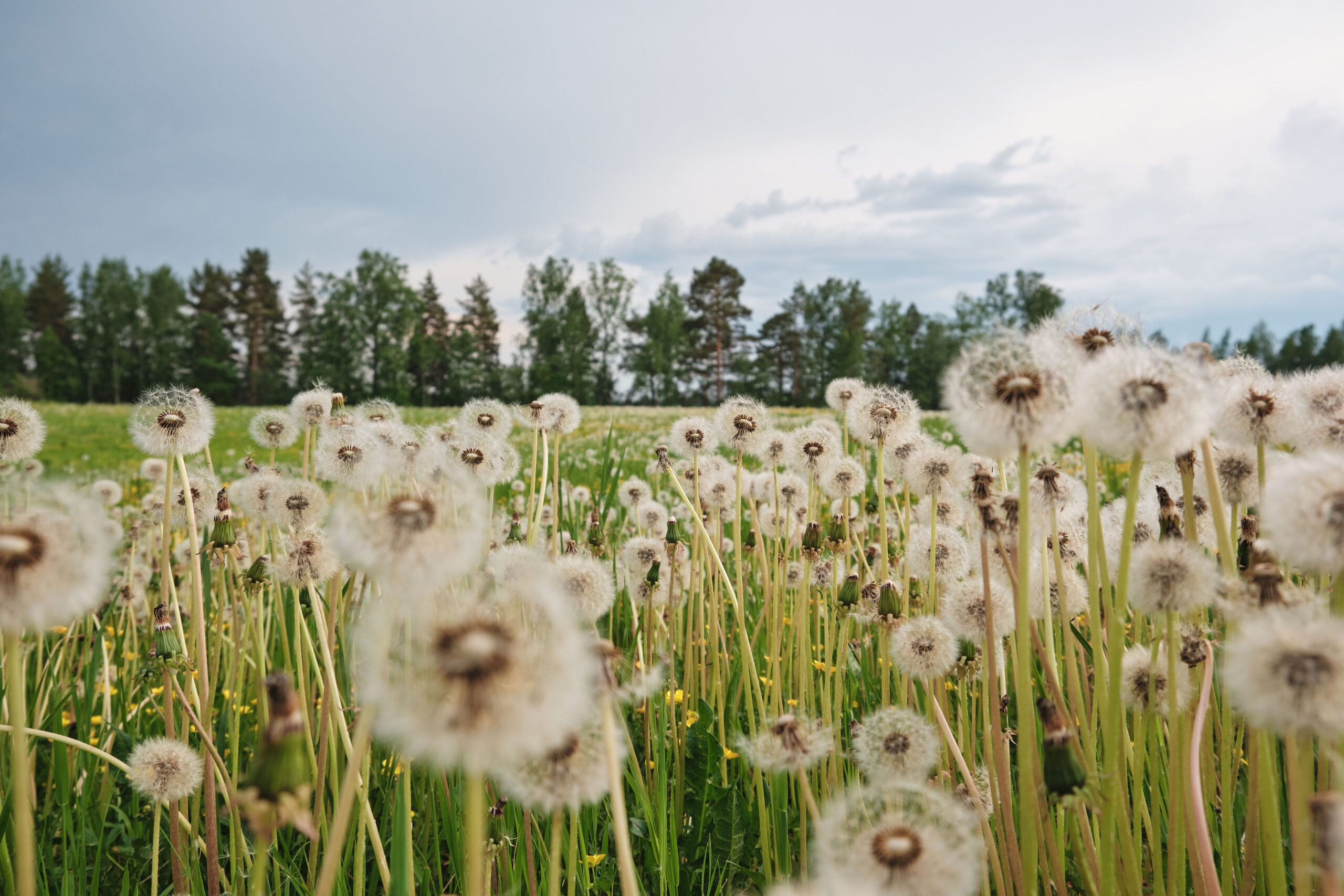 juhlatila_teisko_majoitus_tampere30